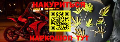 сатива Усть-Джегута
