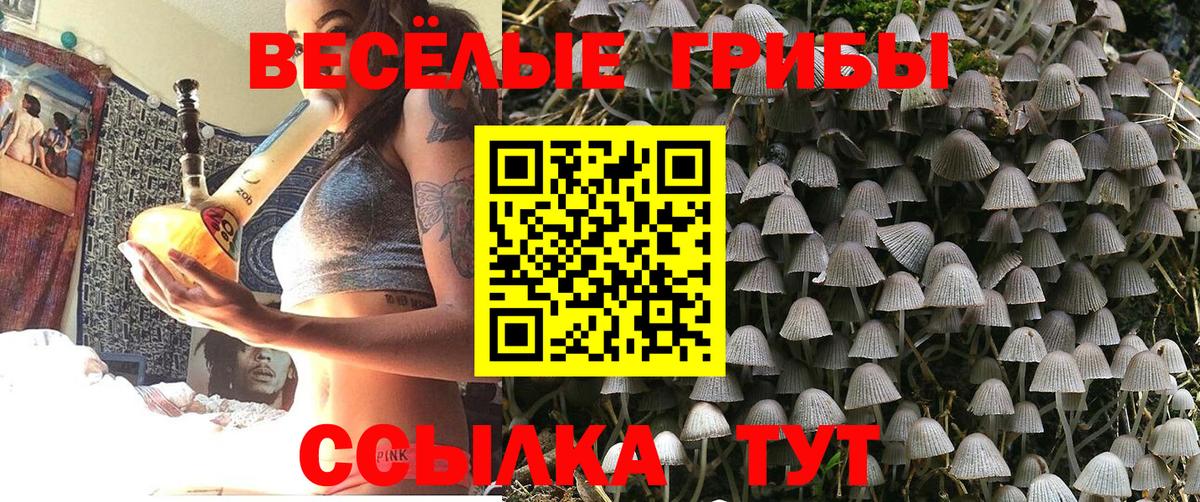 где продают   Галлюциногенные грибы GOLDEN TEACHER  Балашиха  Вход с VPN  Галлюциногенные грибы MAGIC MUSHROOMS 