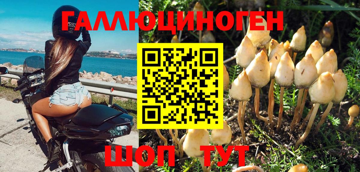 Галлюциногенные грибы Magic Shrooms Балашиха